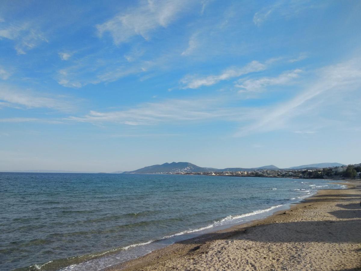 La Vita Apartments-Near Airport & Sea Artemida  Dış mekan fotoğraf