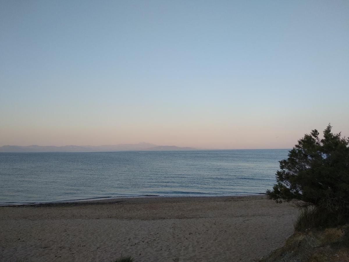 La Vita Apartments-Near Airport & Sea Artemida  Dış mekan fotoğraf