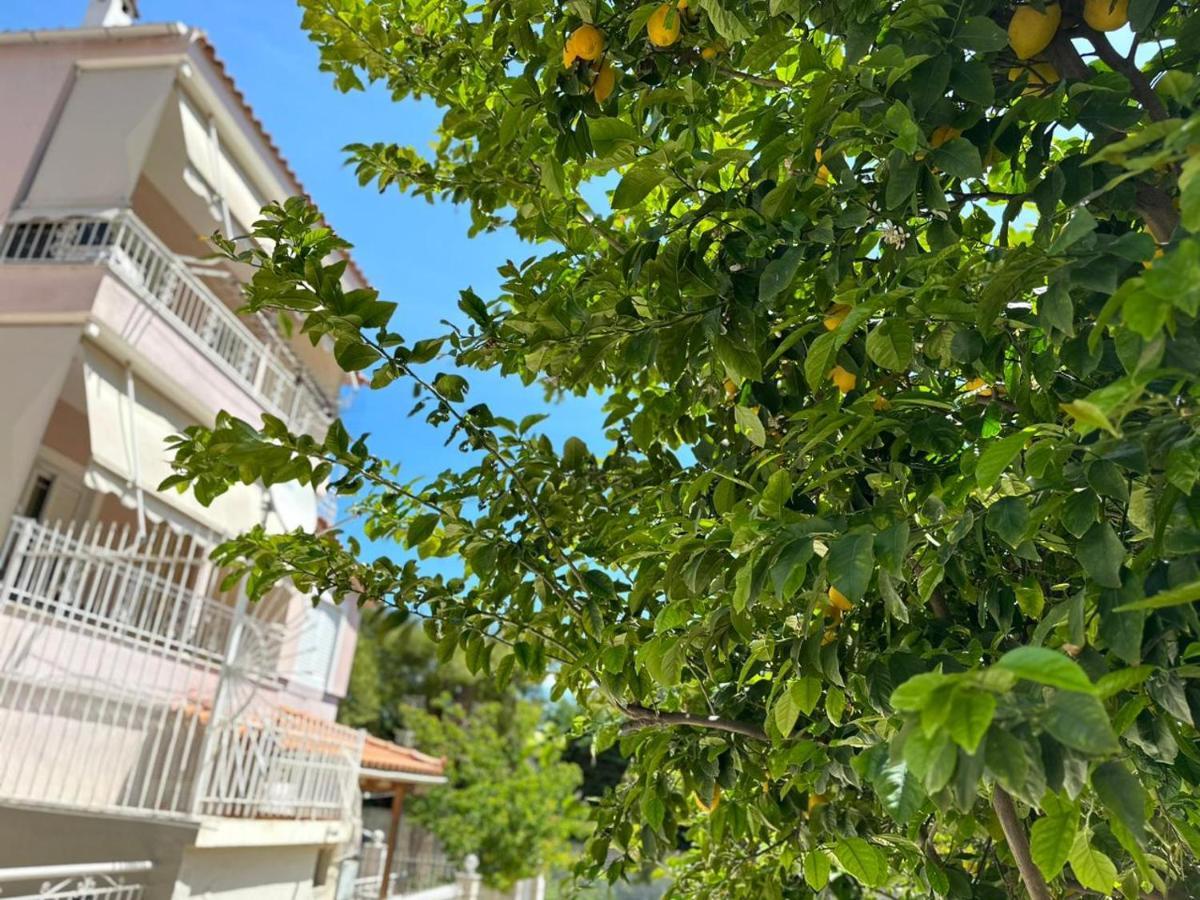 La Vita Apartments-Near Airport & Sea Artemida  Dış mekan fotoğraf