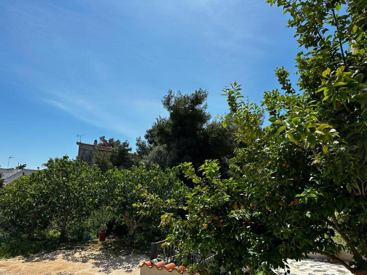 La Vita Apartments-Near Airport & Sea Artemida  Dış mekan fotoğraf